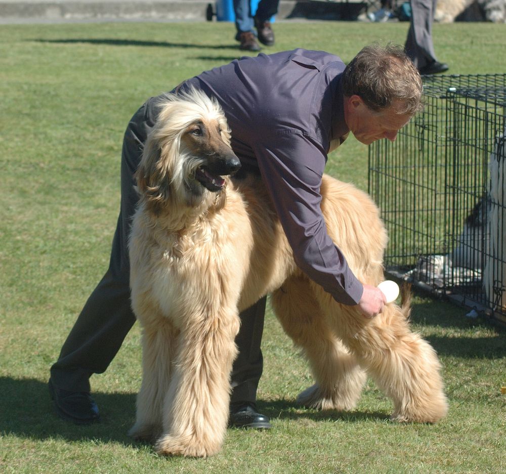 Question of the Week